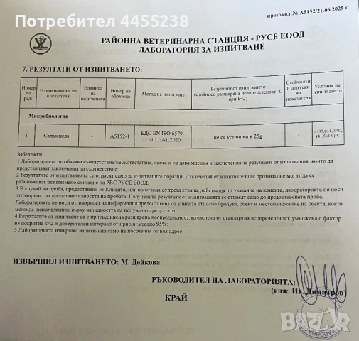 Домашни пъдпъдъчи яйца, снимка 2 - Други - 50047900