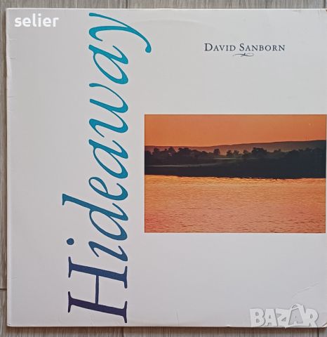 DAVID SANBORN- MADE IN USA Американско издание 1980г Състояние на винила VG+ Състояние на обложката , снимка 1 - Грамофонни плочи - 46358174