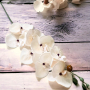 Стрък страхотна декоративна Орхидея//90 см.//цвят крем, снимка 1 - Изкуствени цветя - 44950635