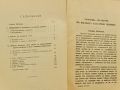 Природна скулптура по високите български планини 1920 Ж. Радев, снимка 2