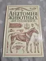 Нова анатомия на животни за художници Рисуване на животни, снимка 1