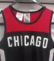 Оригинален детски потник на Chicago Bulls(NBA), снимка 3