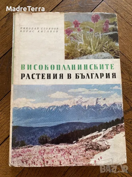 Високопланинските растения в България Н. Стоянов, Б. Китанов, снимка 1