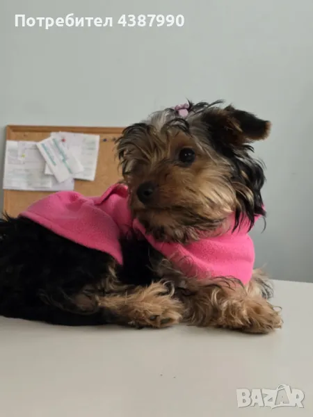 Момиченце  Чери, снимка 1