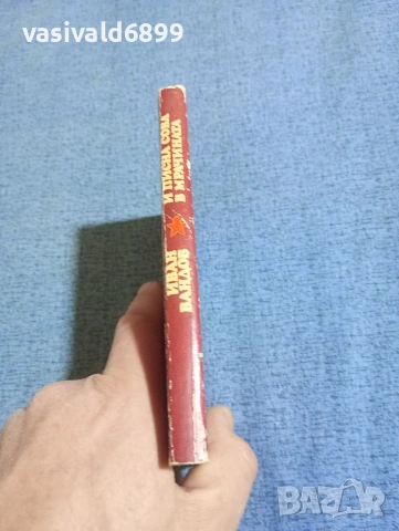 Иван Вандов - И писна сова в мрачината , снимка 2 - Българска литература - 53803666
