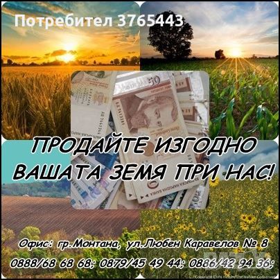 Купуваме земя в обл.Видин. Може и на идеални части. , снимка 1 - Земеделска земя - 46585335