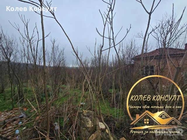 Къща село Целина , снимка 4 - Къщи - 53540715