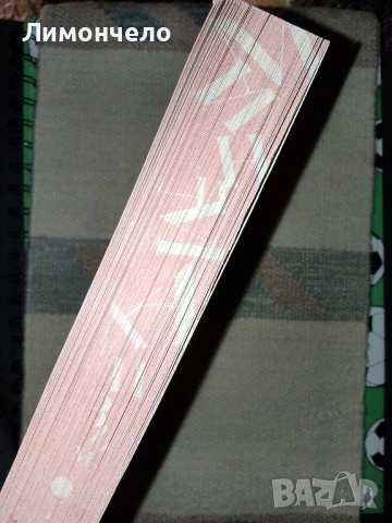 " Минимализъм "рядко издание с цветни прорезки. Ралица Генчева, снимка 3 - Българска литература - 52146929