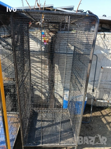 Клетка за среден голям папагал