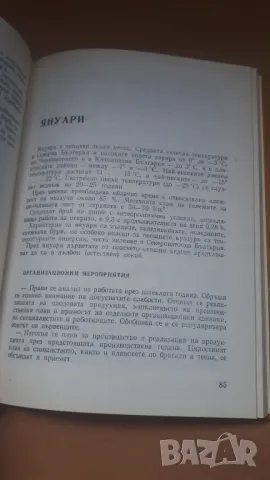 Календар на овощаря - 2-ро издание, снимка 8 - Специализирана литература - 47018869