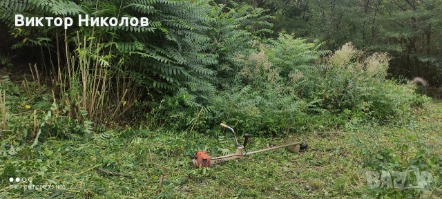 почистване Косене на трева кърти, снимка 11 - Хамалски услуги - 53224029