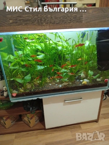 Аквариум 130л.