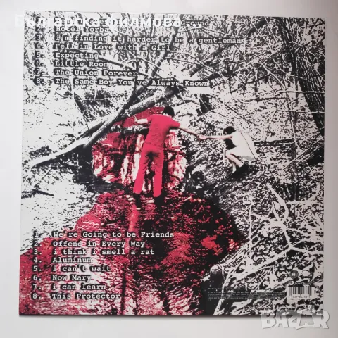 The White Stripes – White Blood Cells, снимка 2 - Грамофонни плочи - 50288412