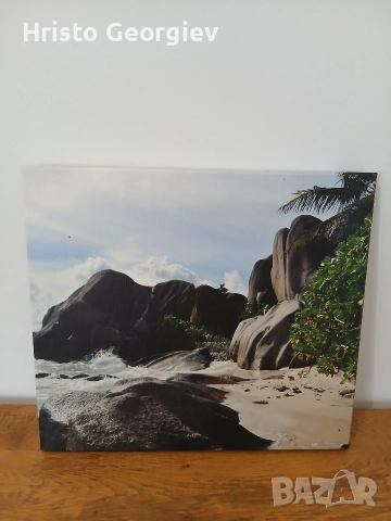 Картина - Снимка плаж Grand Anse Сейшели