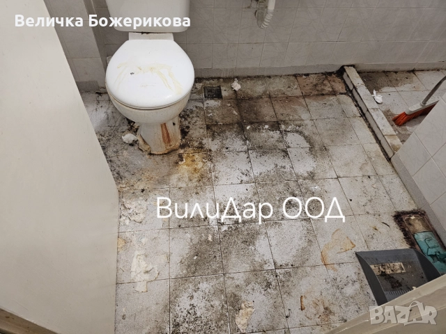 Хамалски услуги , снимка 13 - Хамалски услуги - 52119197