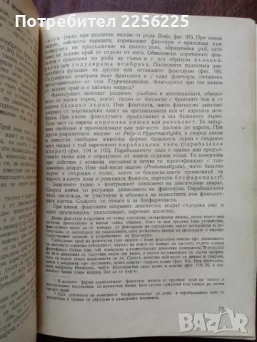 Безгръбначни животни ( част 1 ), снимка 3 - Специализирана литература - 50427674