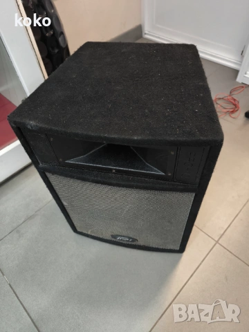 Професионална тонколона Peavey 12, снимка 2 - Тонколони - 53417987