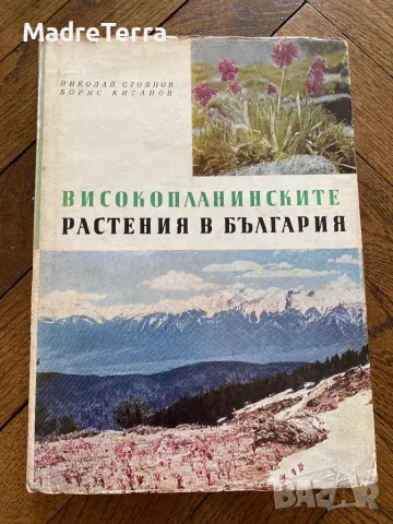 Високопланинските растения в България Н. Стоянов, Б. Китанов, снимка 1 - Енциклопедии, справочници - 46945924