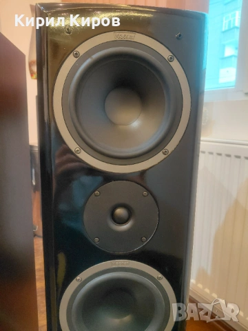 Тонколони Magnat vector 55, снимка 6 - Тонколони - 53172659