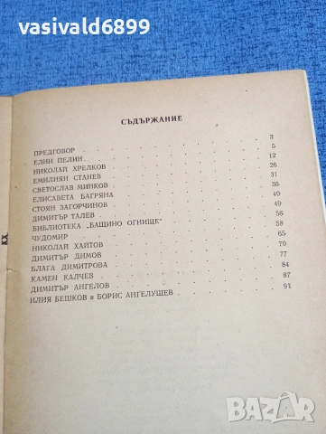 Мария Чернева - Уловени мигове , снимка 5 - Други - 54177357