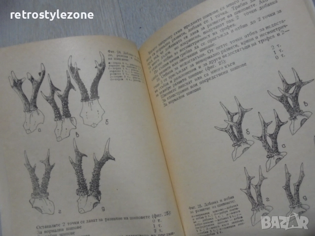 № 8417 Стара книга "Оценка на ловни трофеи", снимка 4 - Специализирана литература - 52931487