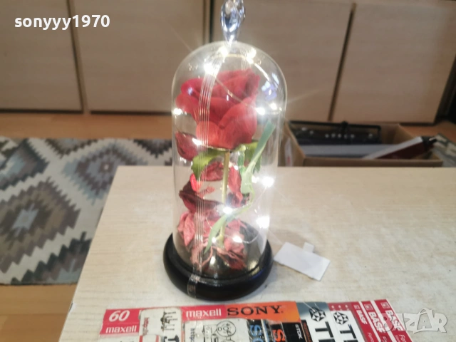 СВЕТЕЩА РОЗА 2303261917LCHERY1