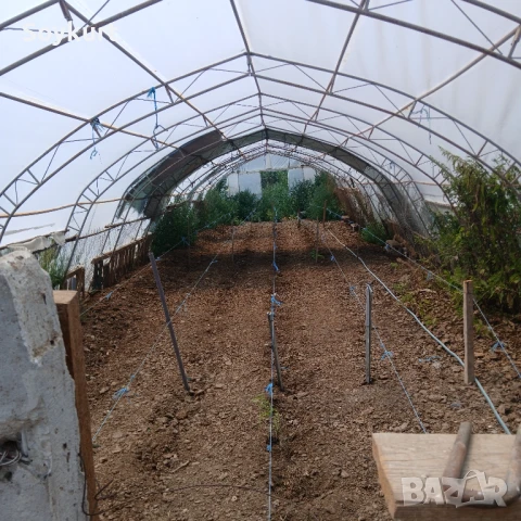 2 имота в един двор  1300М2 с 2 Оранжерии По 150м2 общо 300м2 , снимка 13 - Парцели - 50916749