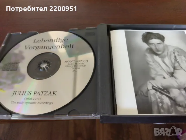 JULIUS PATZAK, снимка 3 - CD дискове - 47429368