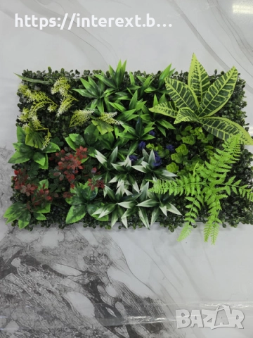  Декоративно зелено пано с цветни акценти, снимка 2 - Стайни растения - 52538300