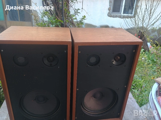 Vintage Тонколони Isophon 12" AlNiCo – За DIY проекти / Студийни монитори, снимка 3 - Тонколони - 54163016