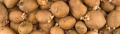 Продавам картофи за семе на едро и дребно, снимка 1 - Сортови семена и луковици - 45060835