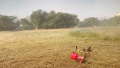 Косене на трева-Почистване на дворове, запустели парцели, терени, рязане на храсти., снимка 3