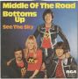 Грамофонни плочи Middle Of The Road – Bottoms Up 7" сингъл, снимка 1 - Грамофонни плочи - 45648009