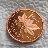 Лот монети 12 броя Канадски долари, центове непипани мат гланц перфектно състояние 42642, снимка 5 - Нумизматика и бонистика - 45021211