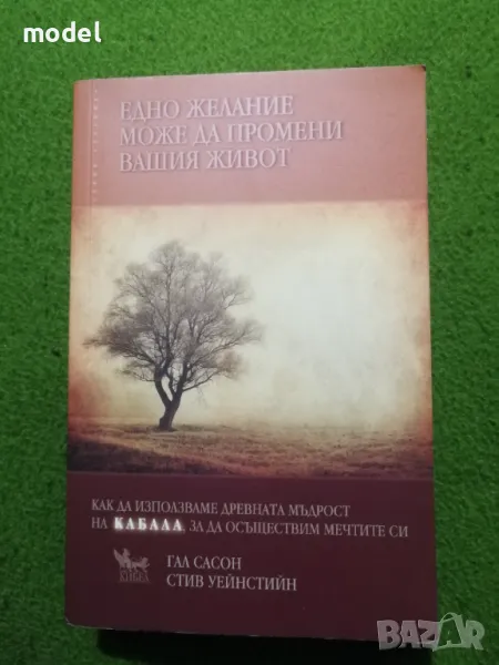 Едно желание може да промени вашия живот - Гал Сасон, Стив Уейнстийн , снимка 1