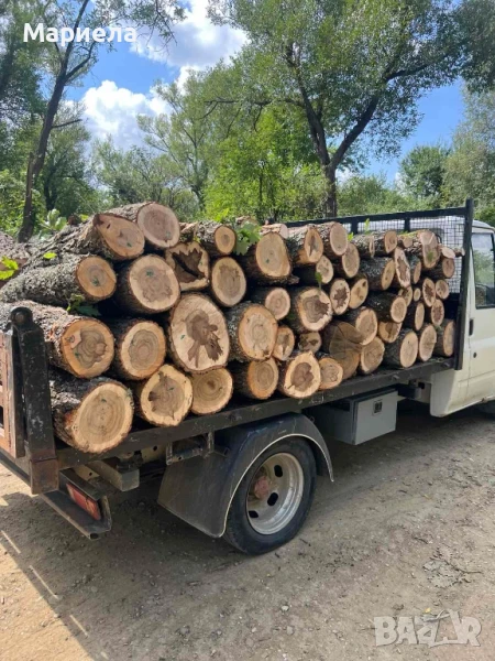 ДЪРВА ЗА ОГРЕВ! Топла зима.., снимка 1