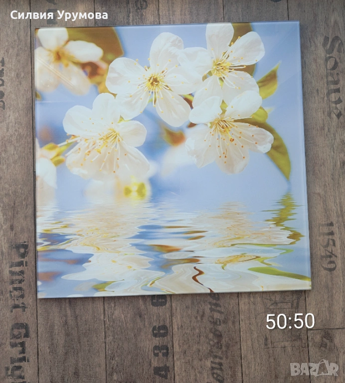 Рисувани картини/стъклени картини, снимка 1