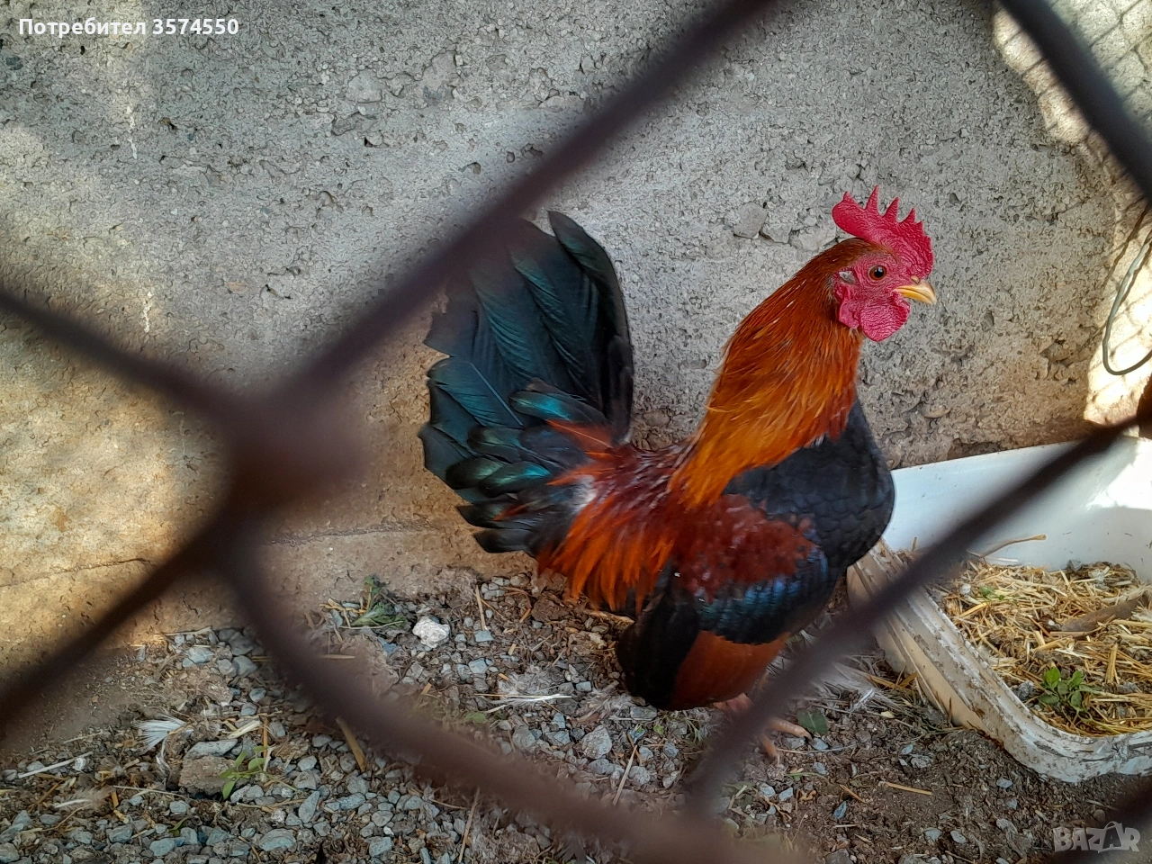 Продавам Серами, снимка 1