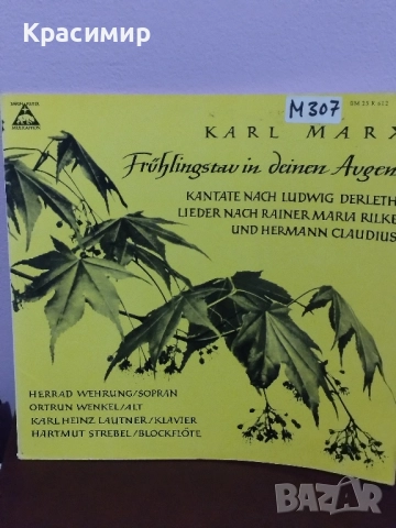 KARL MARX Винилова плоча , снимка 7 - Грамофонни плочи - 52507704
