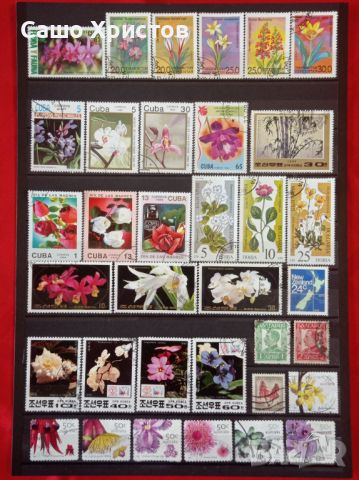 Пощенски марки тема ”Растения”., снимка 3 - Филателия - 45653043