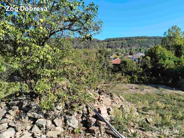 Парцел с ПУП в с.Присово, снимка 3 - Парцели - 51709715