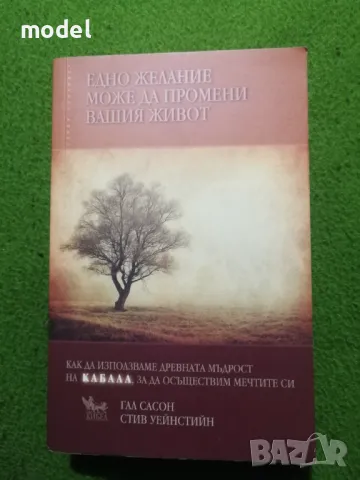 Едно желание може да промени вашия живот - Гал Сасон, Стив Уейнстийн , снимка 1 - Специализирана литература - 44375480