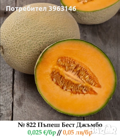 Семена за Стотинки, снимка 17 - Сортови семена и луковици - 52838410