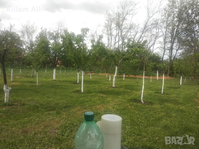 Косене на тревни площи и храсти, снимка 2 - Други услуги - 52864157