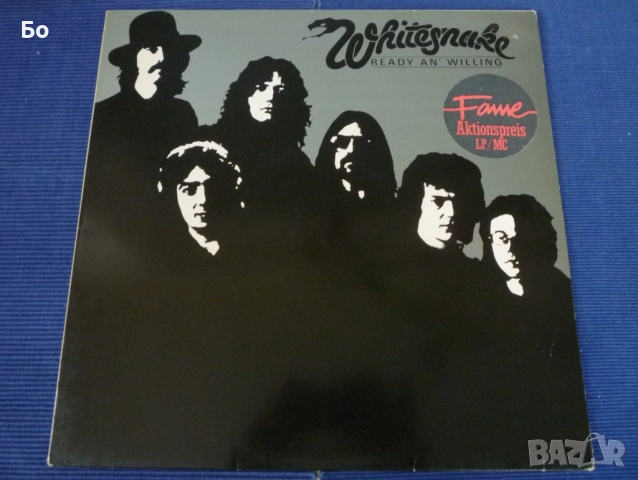 грамофонни плочи WhiteSnake , снимка 9 - Грамофонни плочи - 52474021