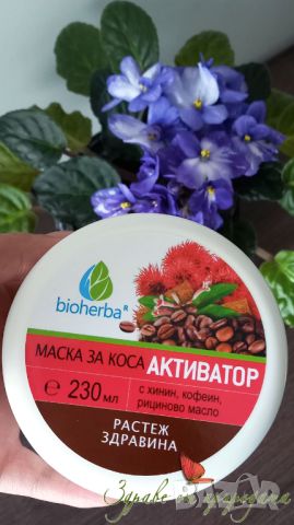 Натурален комплект за коса, снимка 3 - Продукти за коса - 46673238