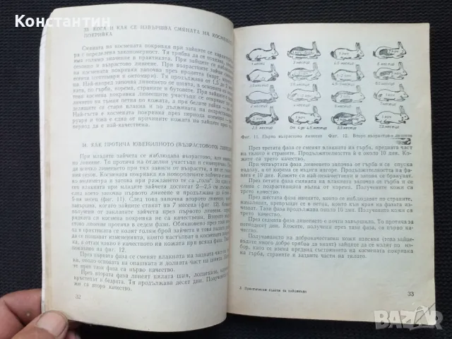 Практически съвети за зайцевъди, снимка 3 - Специализирана литература - 49977713