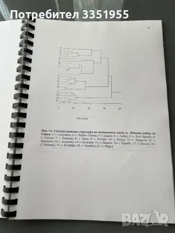 Дипломна работа Медоносни пчели, снимка 15 - Специализирана литература - 47082072