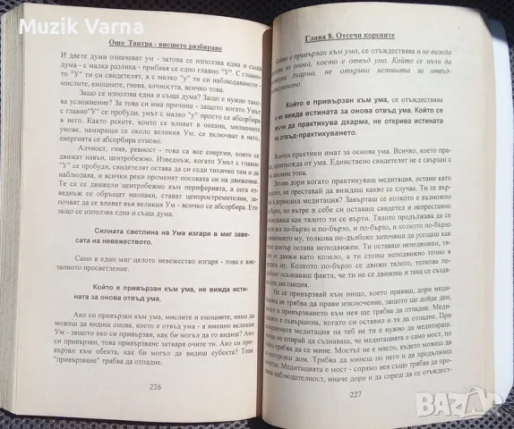 ОШО -Тантра. Висшето разбиране.Беседи върху "Песен за Махамудра" от Тилопа, снимка 3 - Езотерика - 46875054