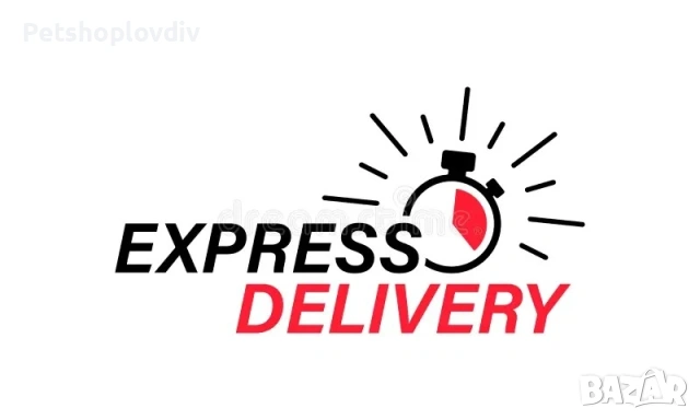 🚀 ЕКСПРЕСНА МОТО EKSPRESS ДОСТАВКА В ПЛОВДИВ – ДО 60 МИНУТИ! 